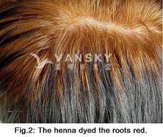 231117142348_Hair-Dying with henna-s.jpg